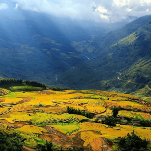 TP.HỒ CHÍ MINH - NỘI BÀI - HÀ GIANG - ĐỒNG VĂN  NHO QUẾ - SAPA – FANSIPAN