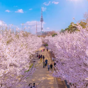 SEOUL – NAMI – EVERLAND - TRẢI NGHIỆM MÙA HÈ HÀN QUỐC