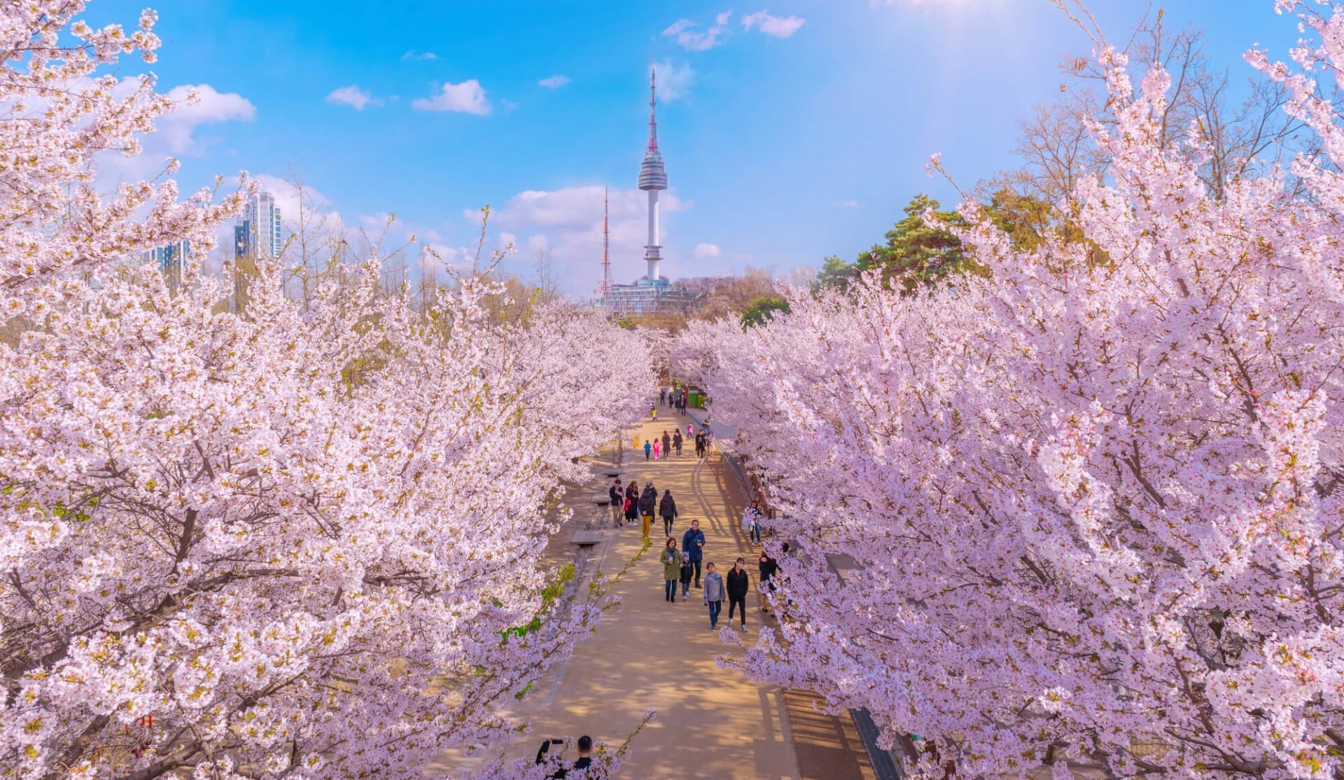 SEOUL – NAMI – EVERLAND - TRẢI NGHIỆM MÙA HÈ HÀN QUỐC